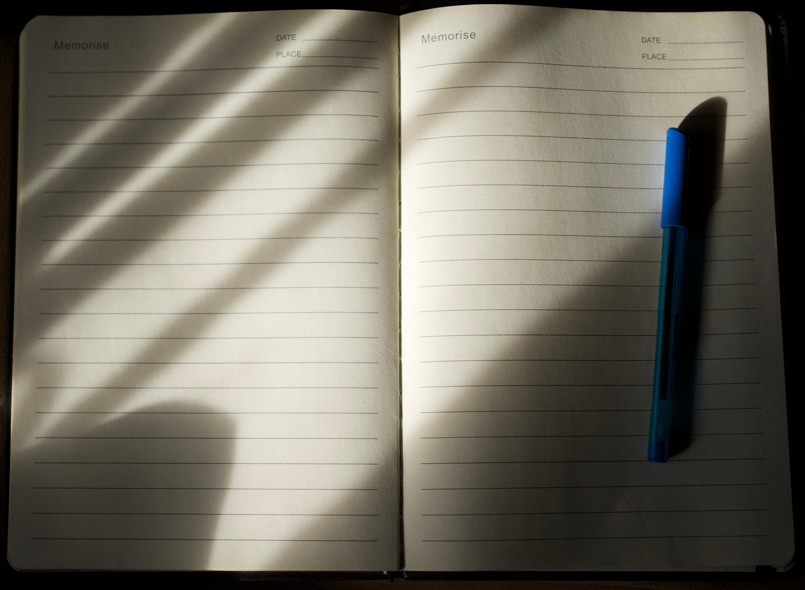 Open notebook and pen in daylight